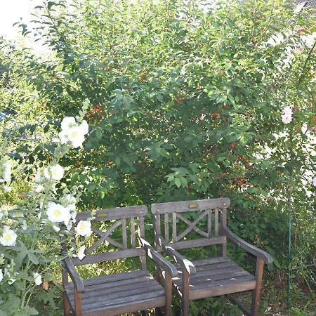 Spacious Near The Baltic Sea * Blowatz